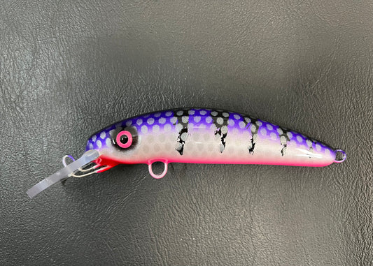 Plum Perch - Pink Belly - 6H