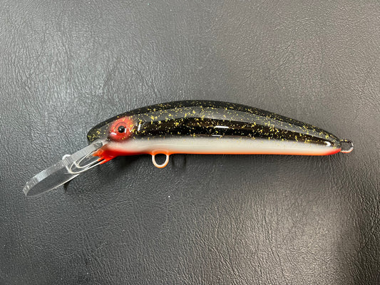 Night Shiner - Orange Belly - 7H