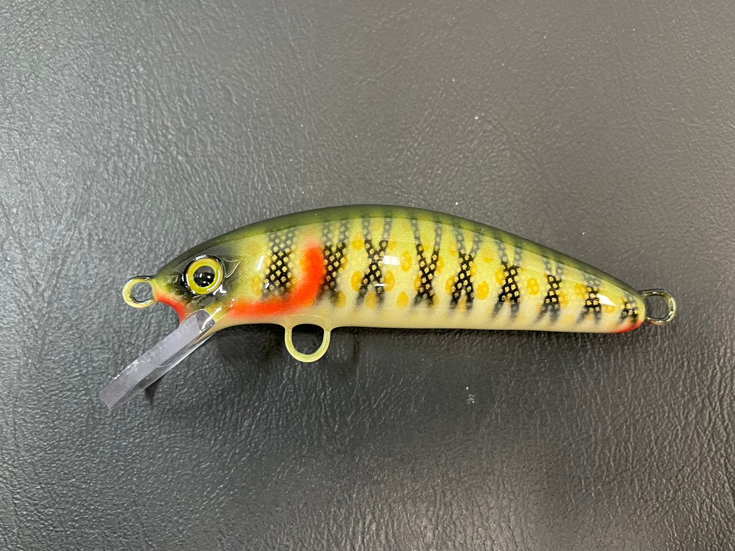 $9 Bass (light) - Cream Belly - 5SC
