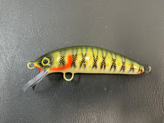 $9 Bass (light) - Cream Belly - 5SC
