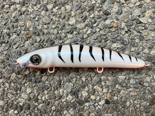 Pearl Tiger - Orange Belly - 9CP
