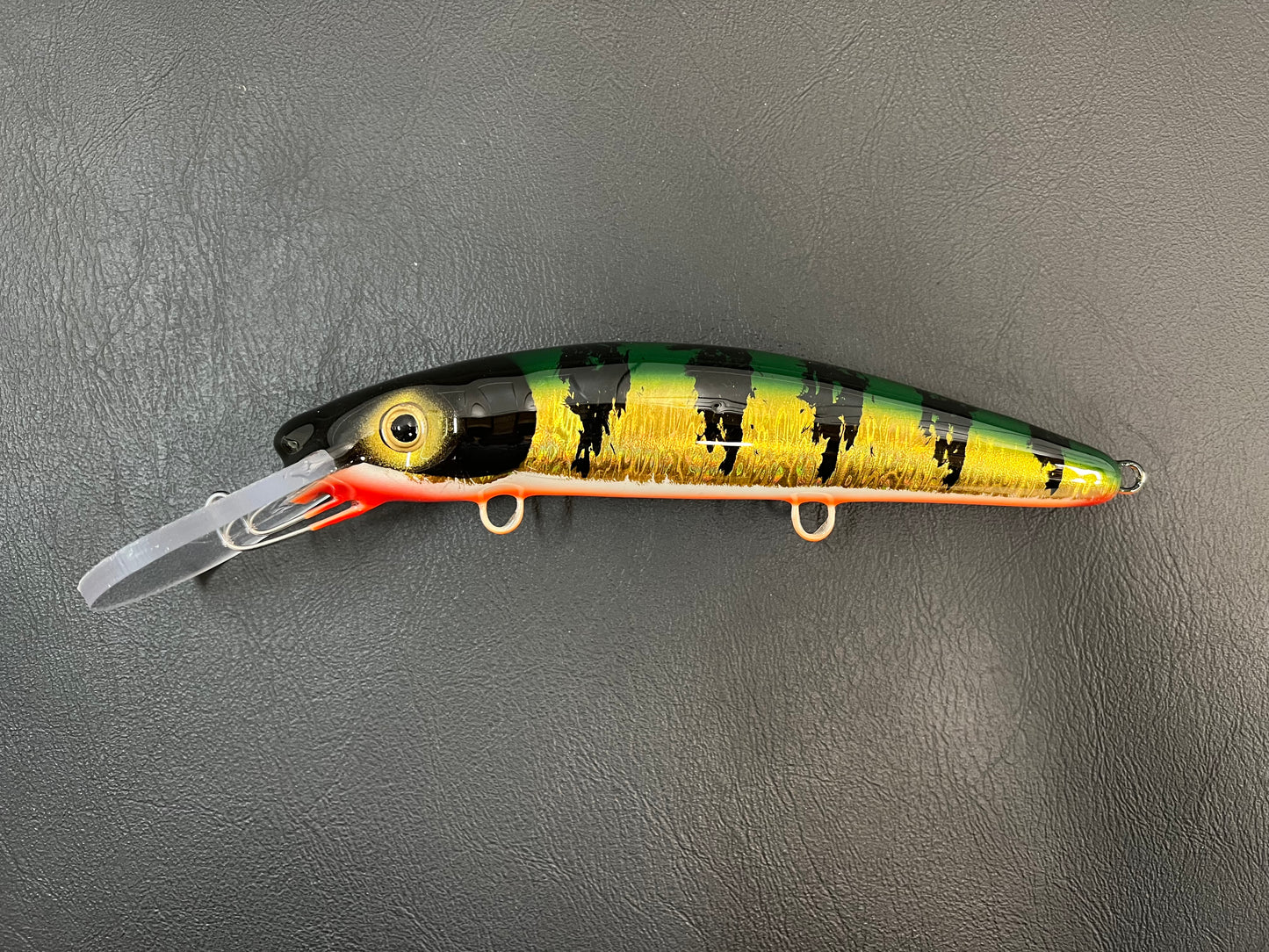 Flash Perch - Orange Belly - 9H