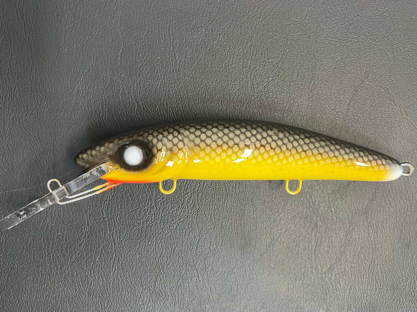 Zeak Walter - Pearl Belly - 9H