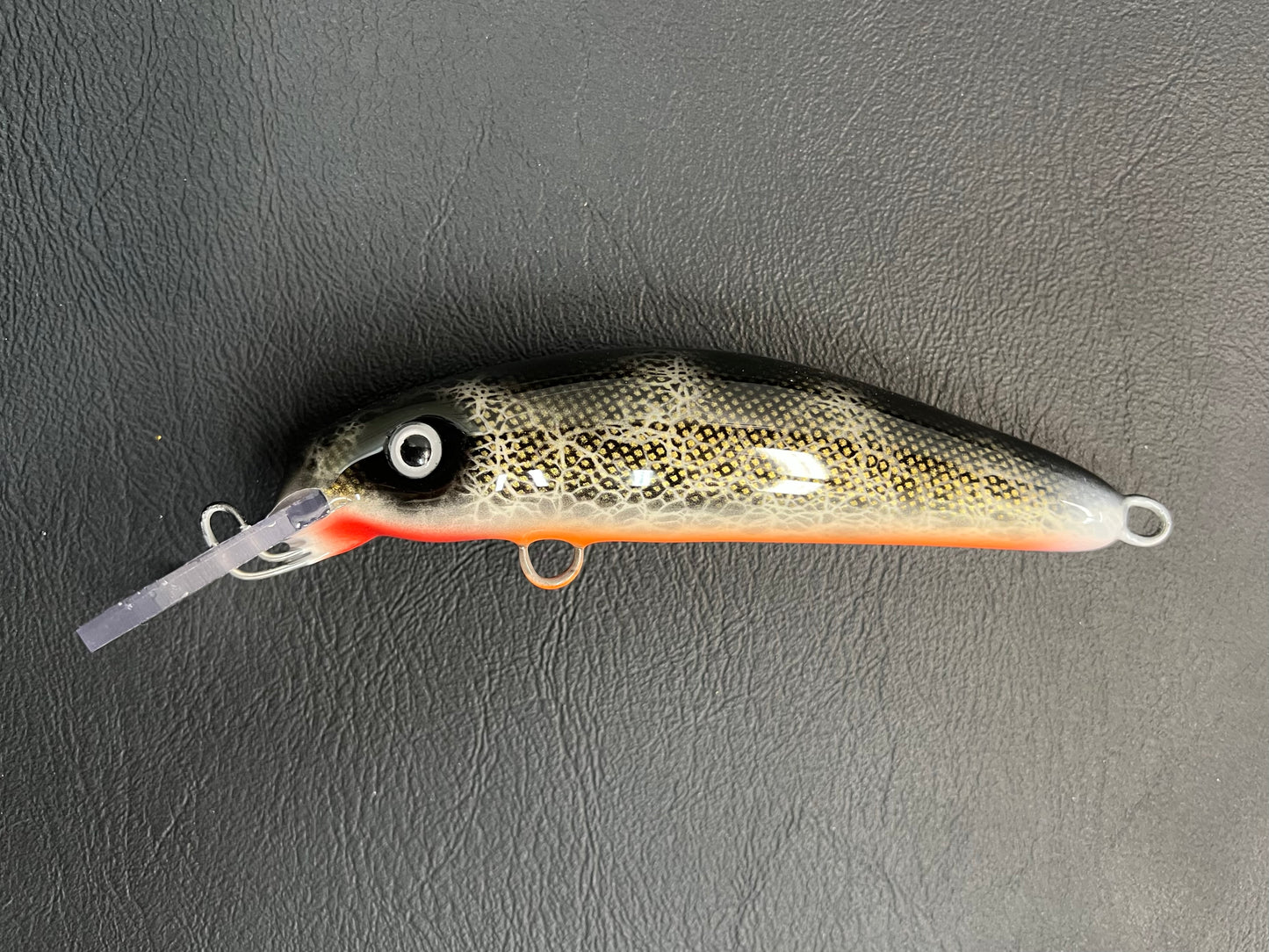 Black Walleye - Orange Belly - 6H