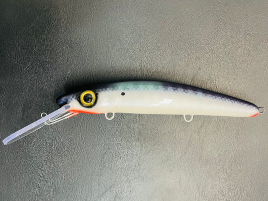 Shimmering Shad - Pearl Belly - 12H
