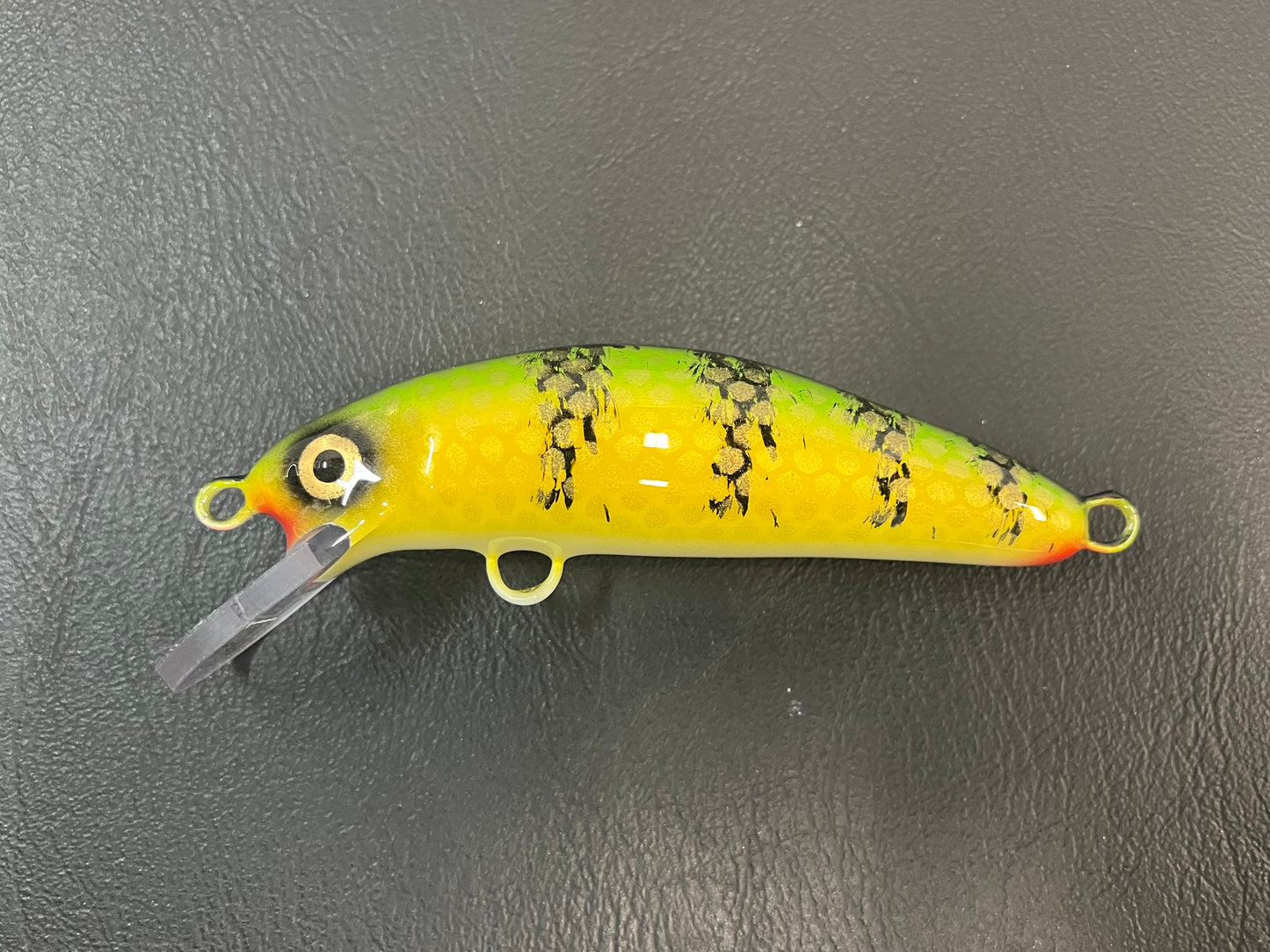 Chalky Perch - White Belly - 5SC