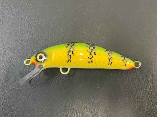 Chalky Perch - White Belly - 5SC