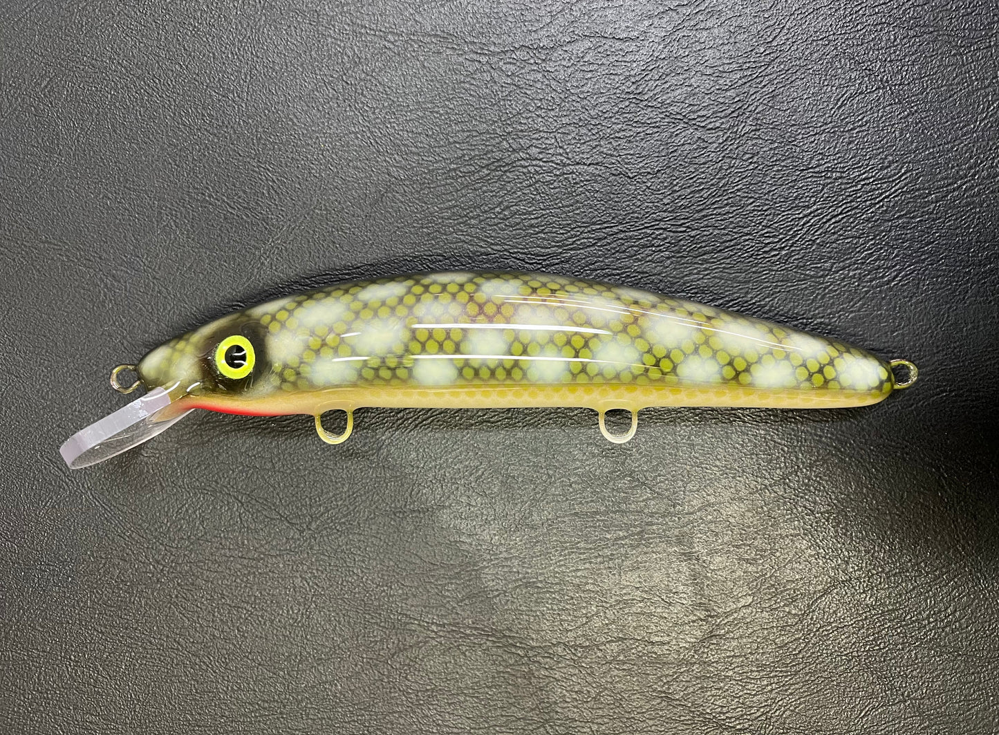 Northern Pike - Pearl Belly - 9C