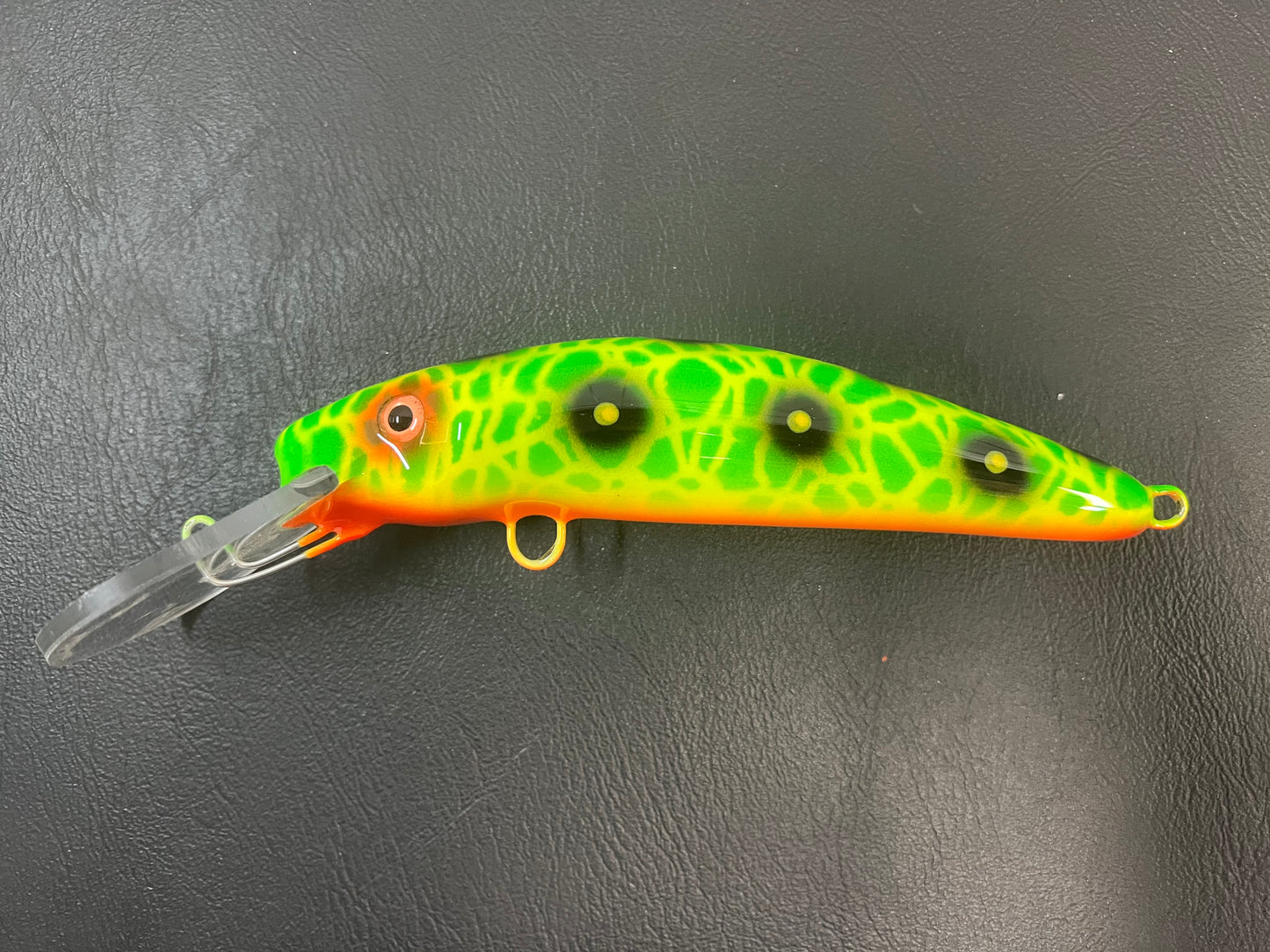 Acid Frog - Orange Belly - 7H