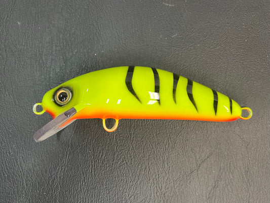 Chartreuse Tiger - Orange Belly - 6SC