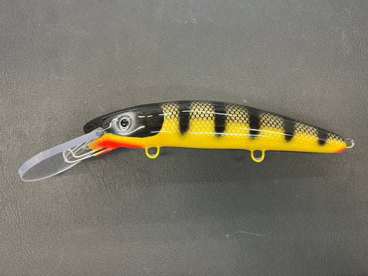 Midnight Perch - Gold Belly - 9H