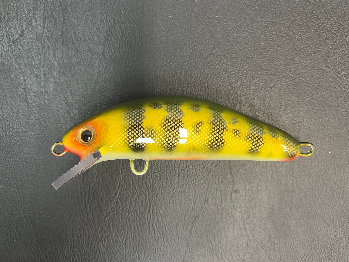 Natural Perch - White Belly - 6SC
