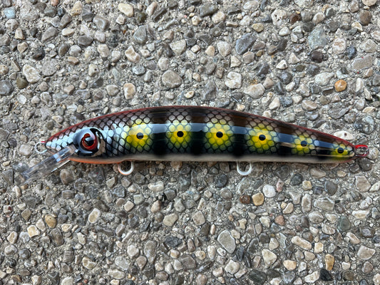 Silver Killer - Pearl Belly - 9CP