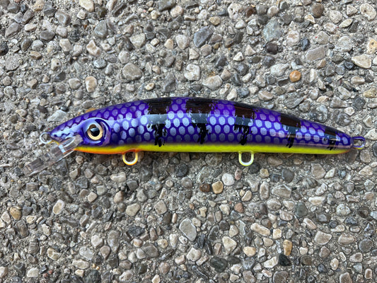 Sour Grape - Chartreuse Belly - 9CP