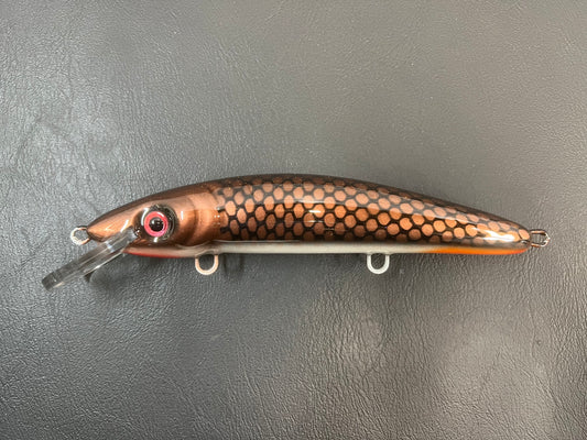 Copper Sucker - Pearl Belly - 9CP