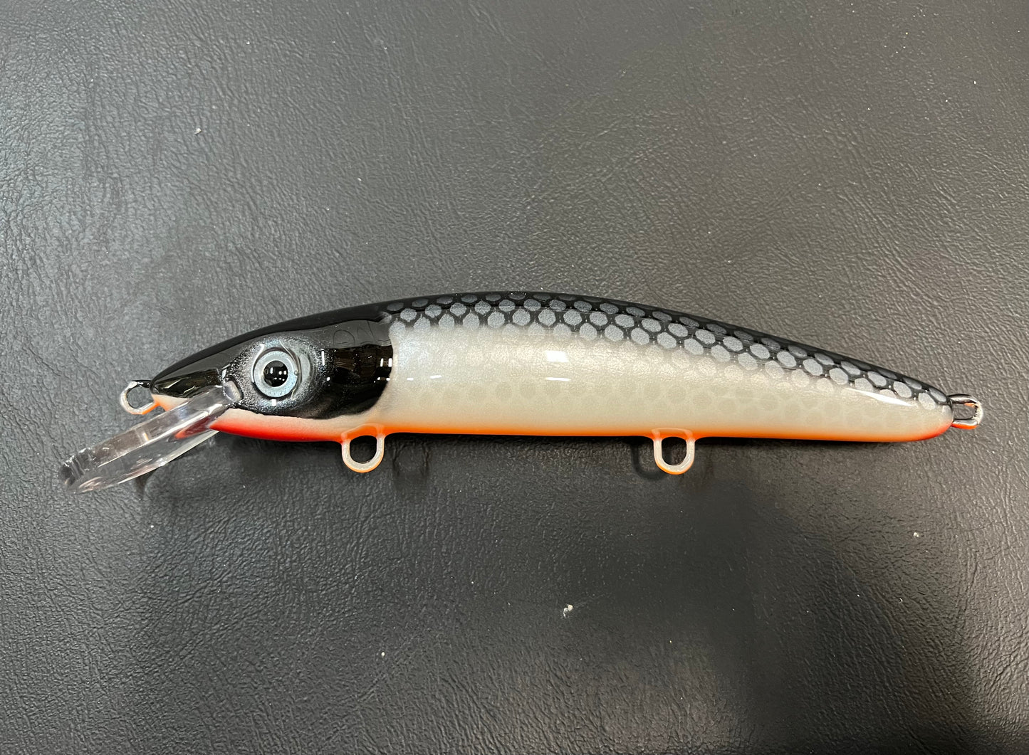 58” Cisco - Orange Belly - 9CP