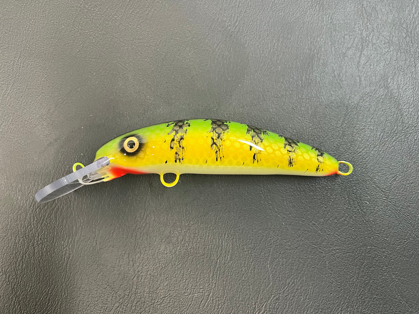 Chalky Perch - White Belly - 6H