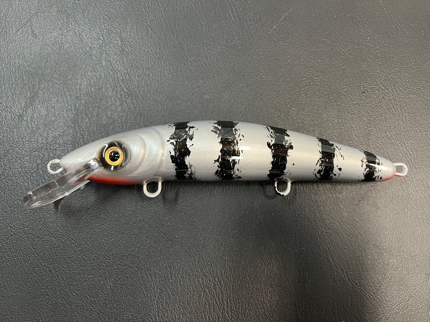 Silver JBird - Silver Belly - 9CP