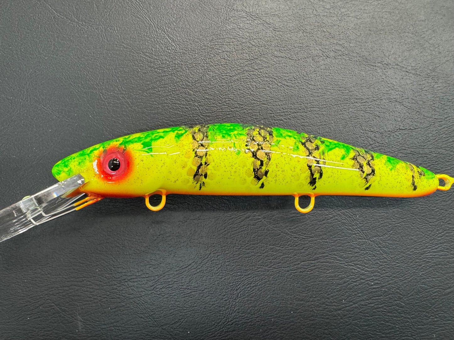 Wish Perch - Orange Belly - 9H