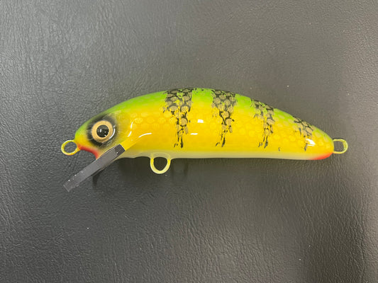 Chalky Perch - White Belly - 6SC