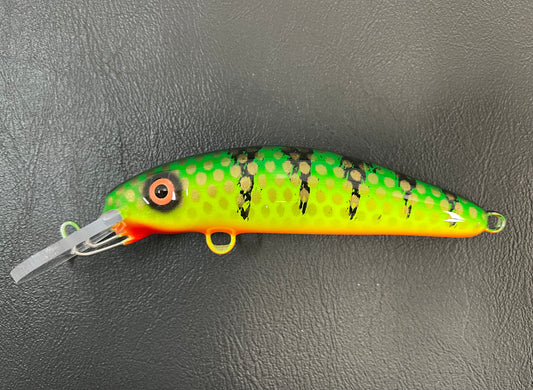 Green Bay Perch - Orange Belly - 6H