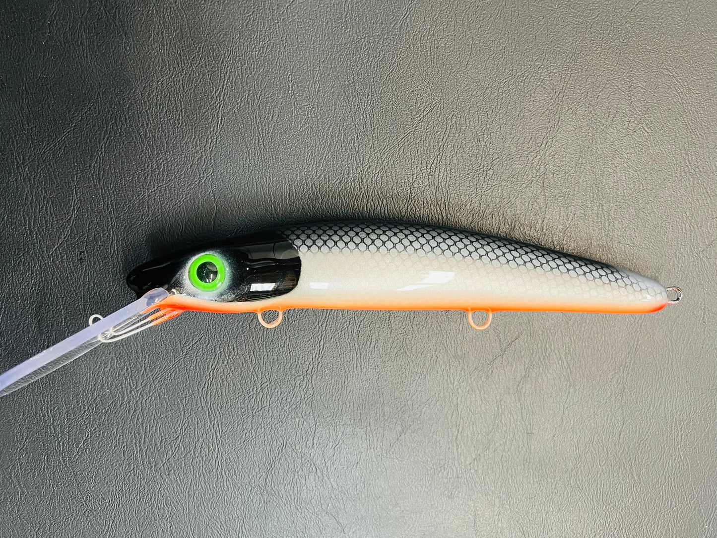 58” Cisco - Orange Belly - 12H