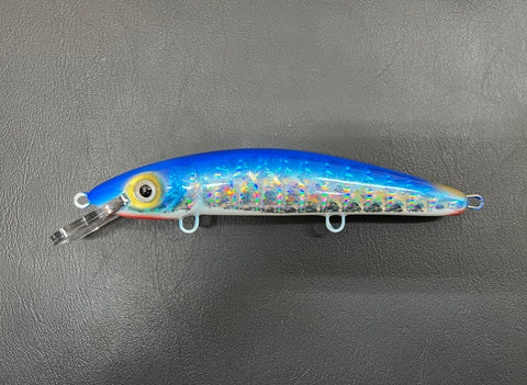 Flash MN Blue Cisco - White Belly - 9CP