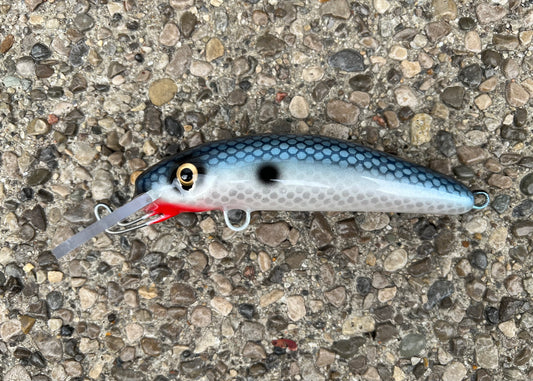 Iridescent Shad - Pearl Belly - 6H