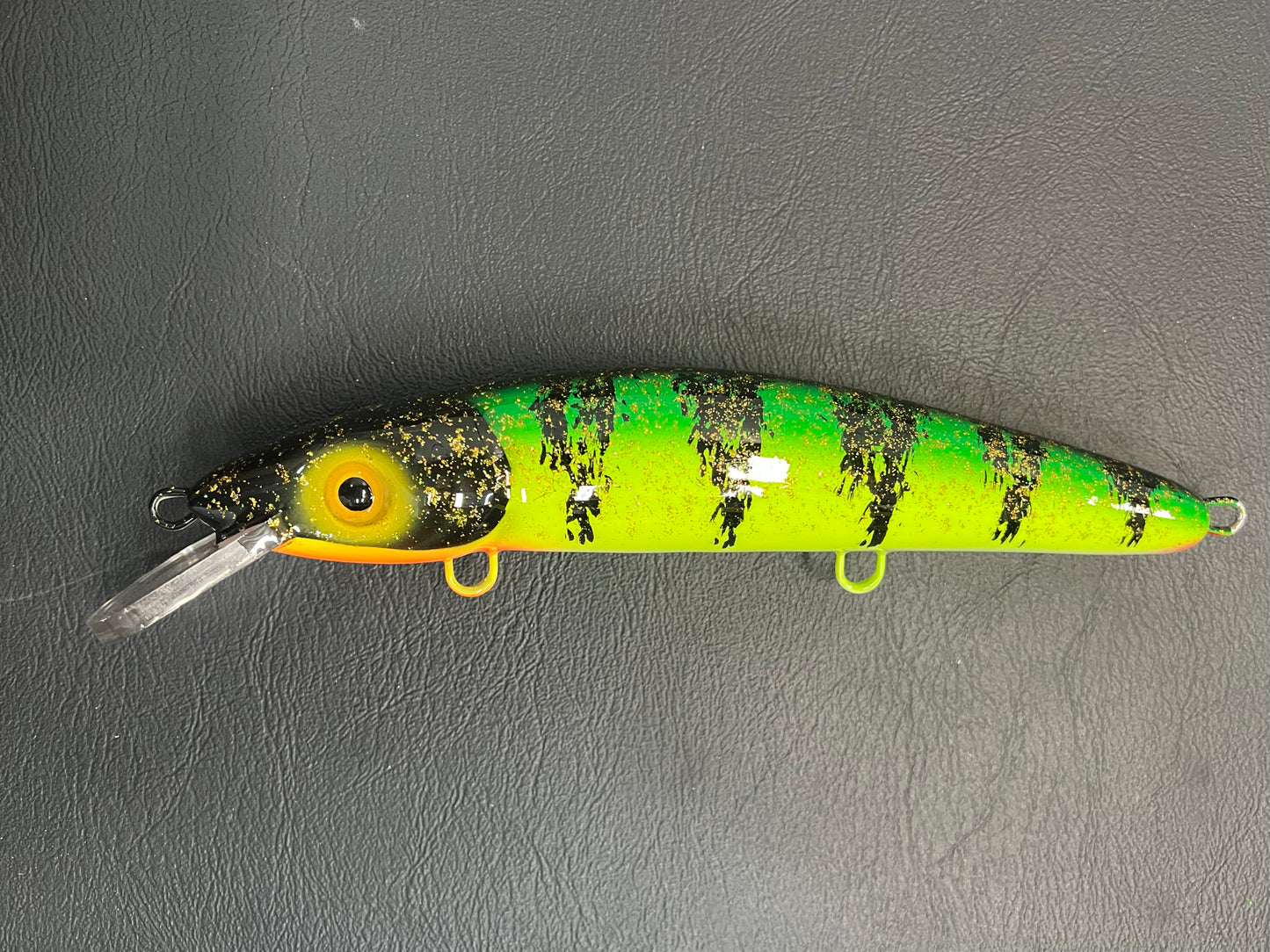 Glitter Perch - White Belly - 9CP