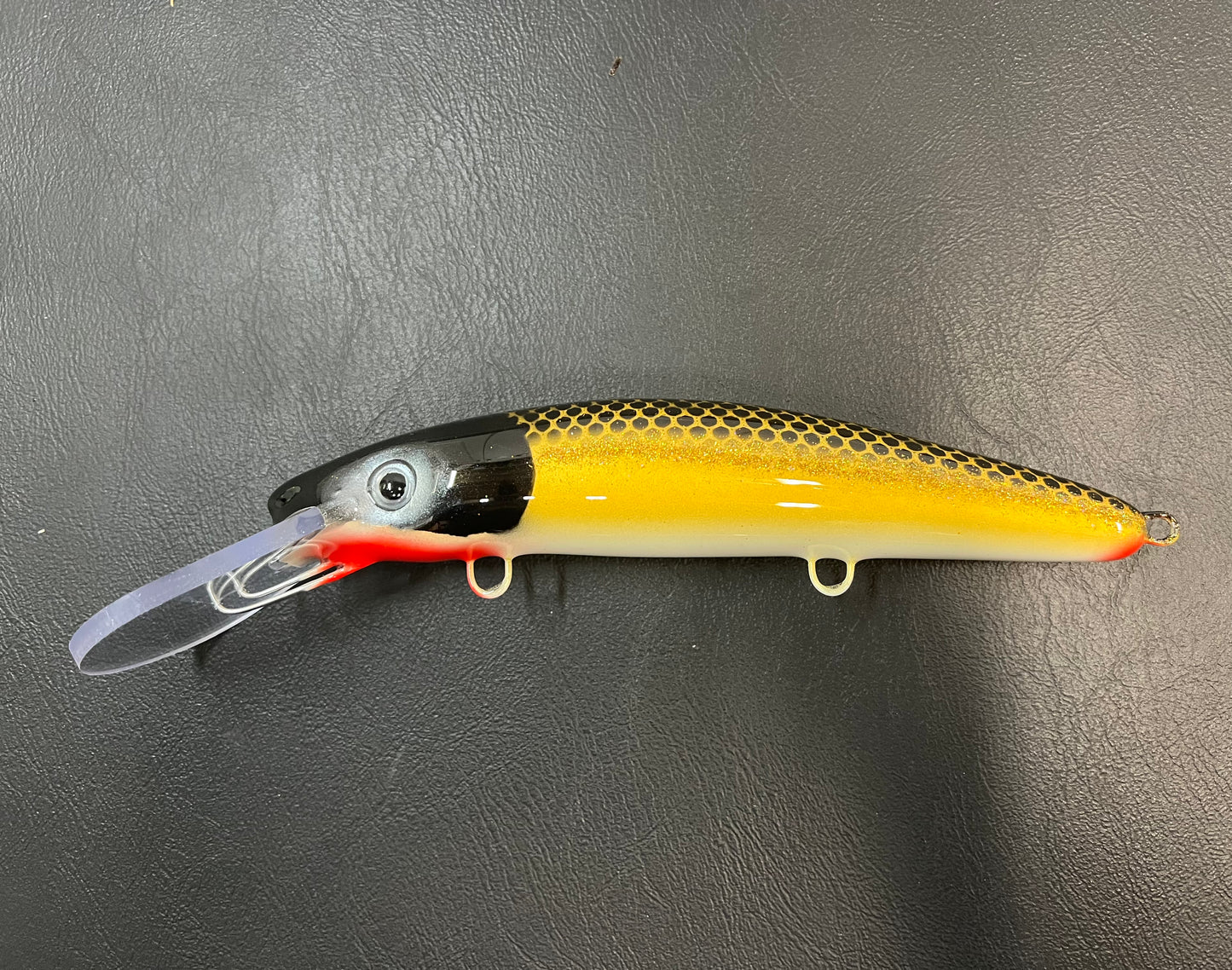 McCarthy Gold Sucker - White Belly - 9H