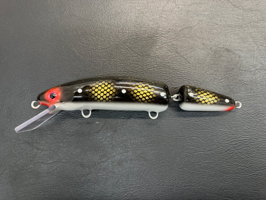 Imposter Perch - Pearl Belly - 9JC
