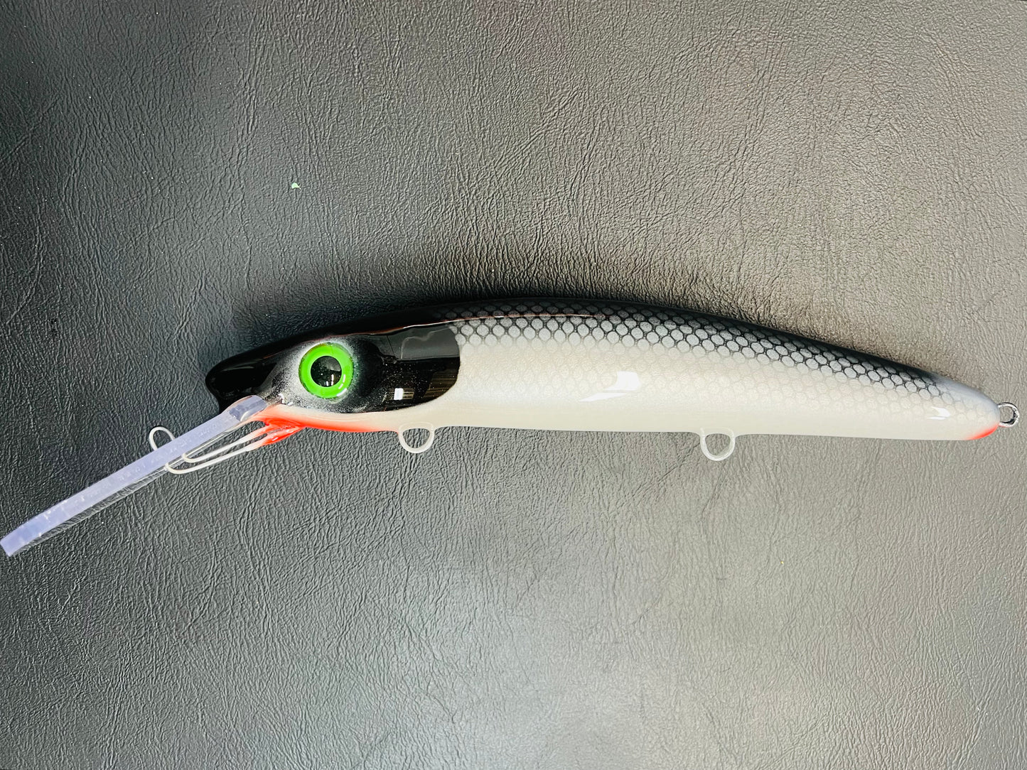 58” Cisco - Pearl Belly - 12H
