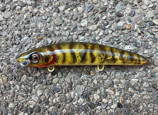 Natural Smallmouth Bass - Cream Belly - 9CP