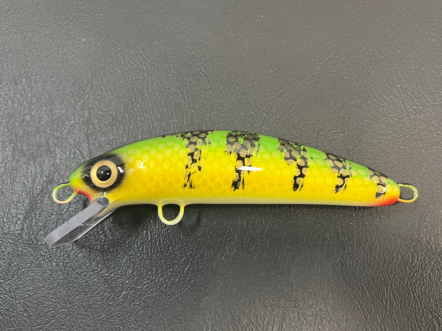 Chalky Perch - White Belly - 6CH