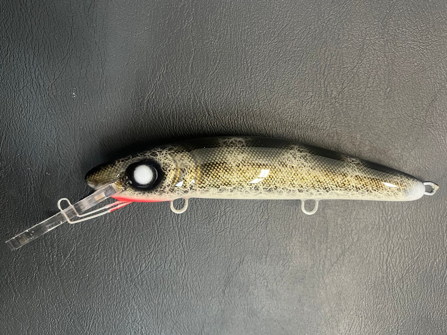 Black Walleye - White Belly - 9H