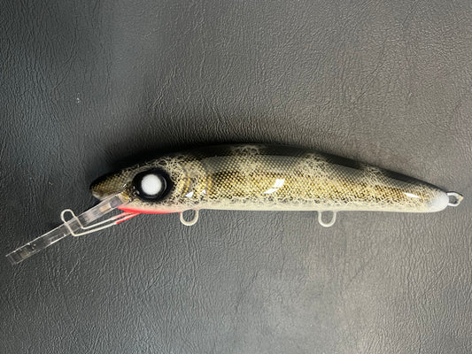 Black Walleye - White Belly - 9H