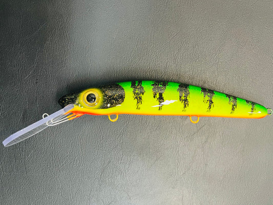Glitter Perch - Orange Belly - 12H