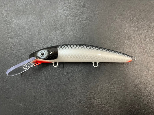 58” Cisco - White Belly - 9H