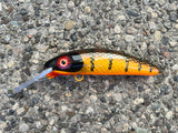 Brown Perch - Orange Belly - 6H