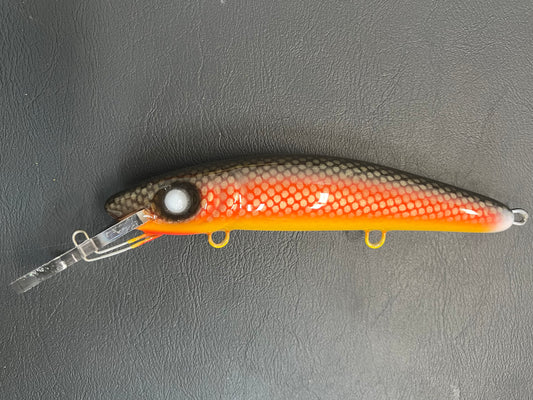 Rock Carp - Yellow Belly - 9H