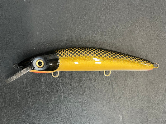 McCarthy Gold - White Belly - 9CP