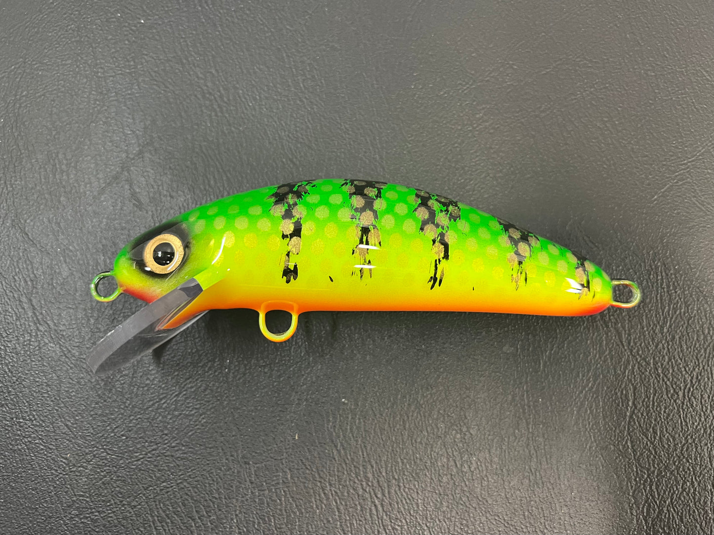 Green Bay Perch - Orange Belly - 6SC