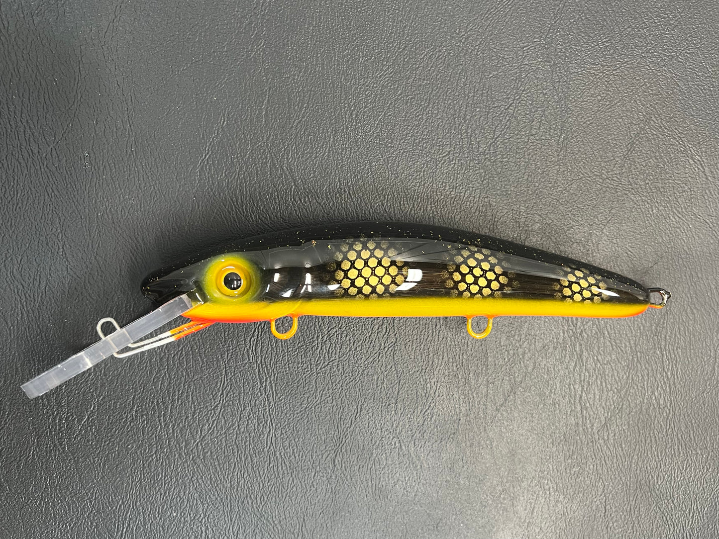 Black Perch - Orange Belly - 9H
