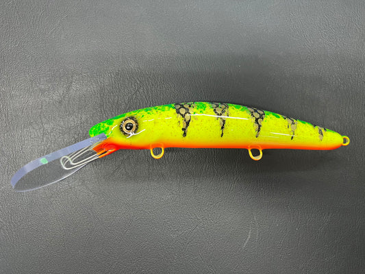 Wish Perch - Orange Belly - 9X