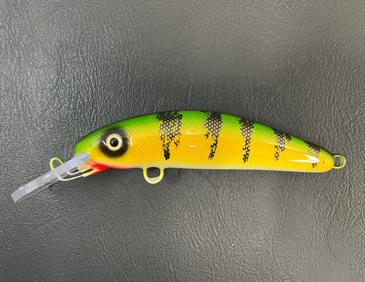 Perch (Classic) - White Belly - 6H