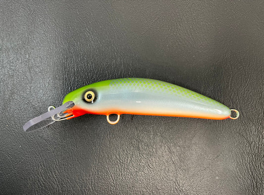 High Back Shiner - Orange Belly - 6H