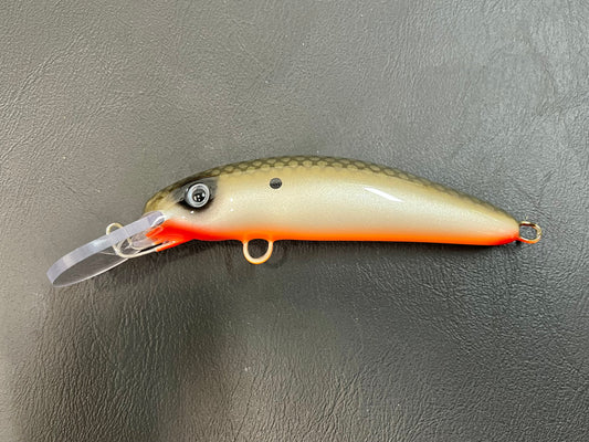Tennessee Shad (Classic) - Orange Belly - 6H