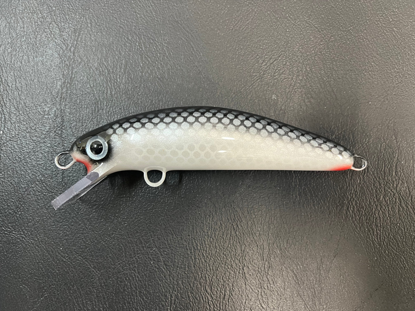 58” Cisco - Pearl Belly - 6CH