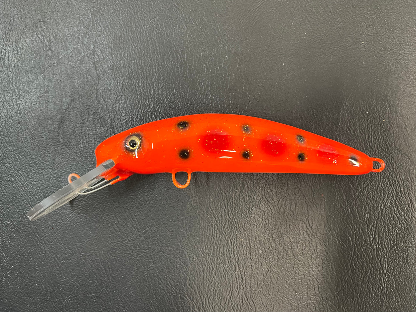 Sparkle Cream Pie - Orange Belly - 7H