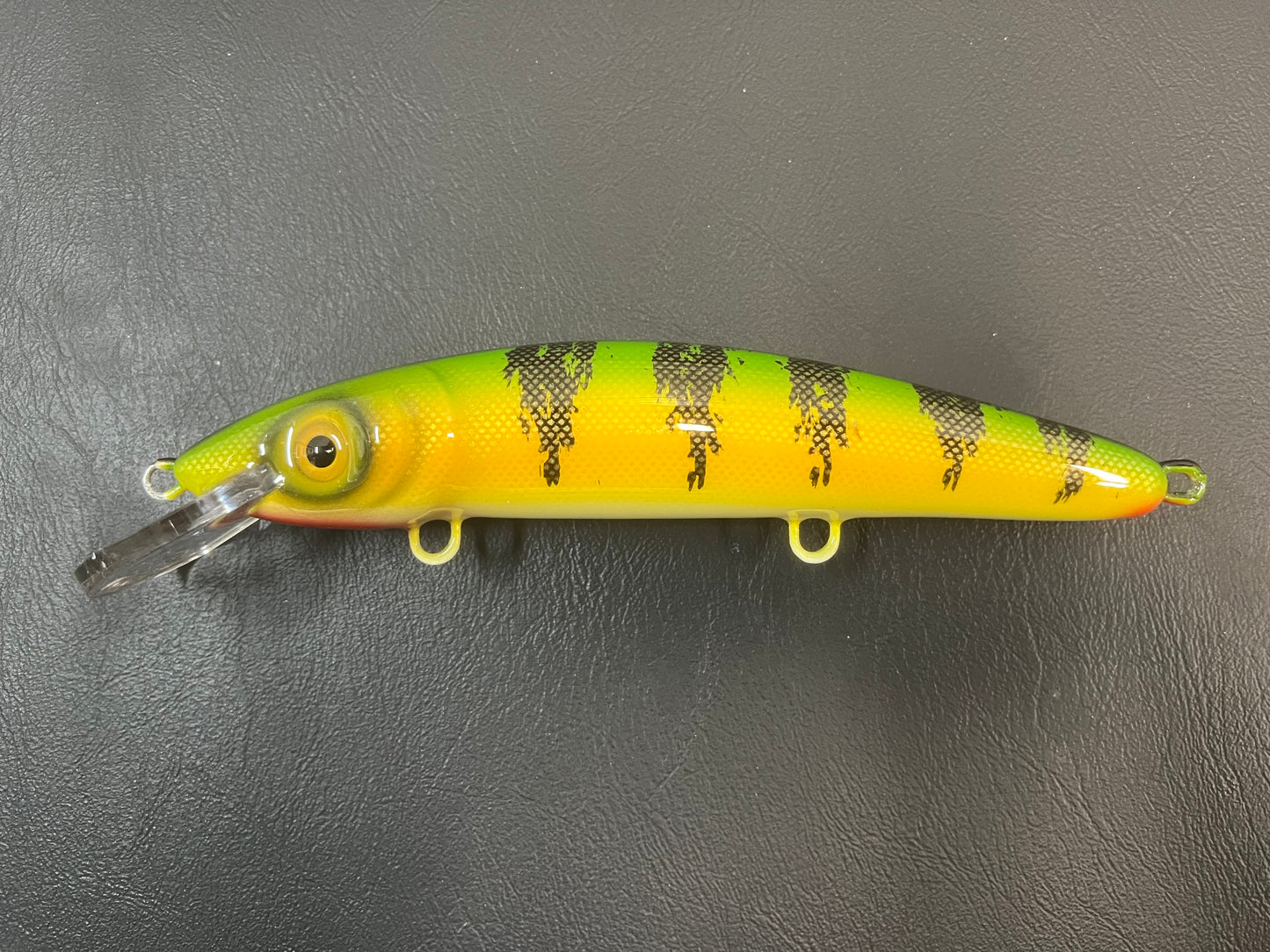 Perch - White Belly - 9CP